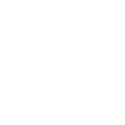 express-delivery